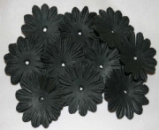 AS4E - 32mm Black Daisy